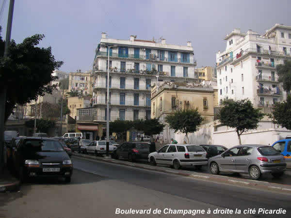 P1010597